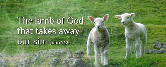 18th of January 2026 Second Sunday in Ordinary Time