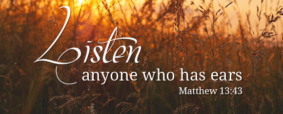 16th Sunday in Ordinary Time